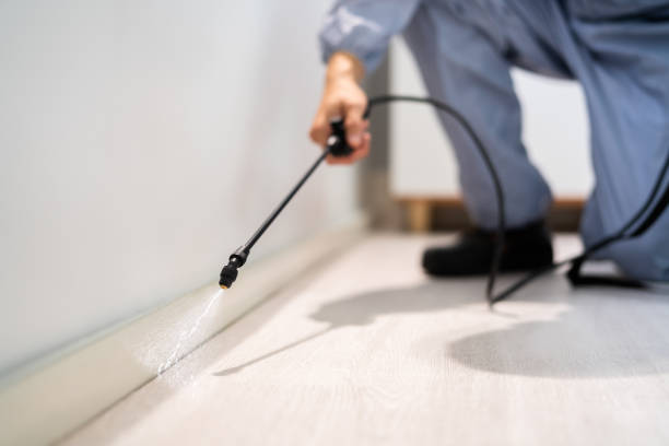 Professional exterminator conducting IPM assessment in Escatawpa