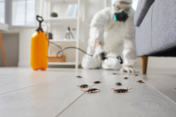 Post-Treatment Bed Bug Interceptor Monitoring in Escatawpa
