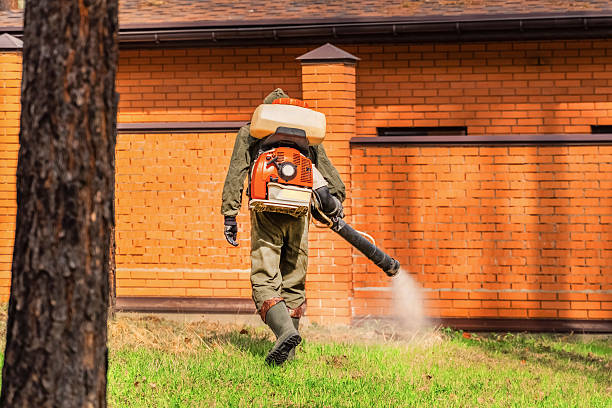 Bed Bug Clearance Verification and Documentation in Escatawpa